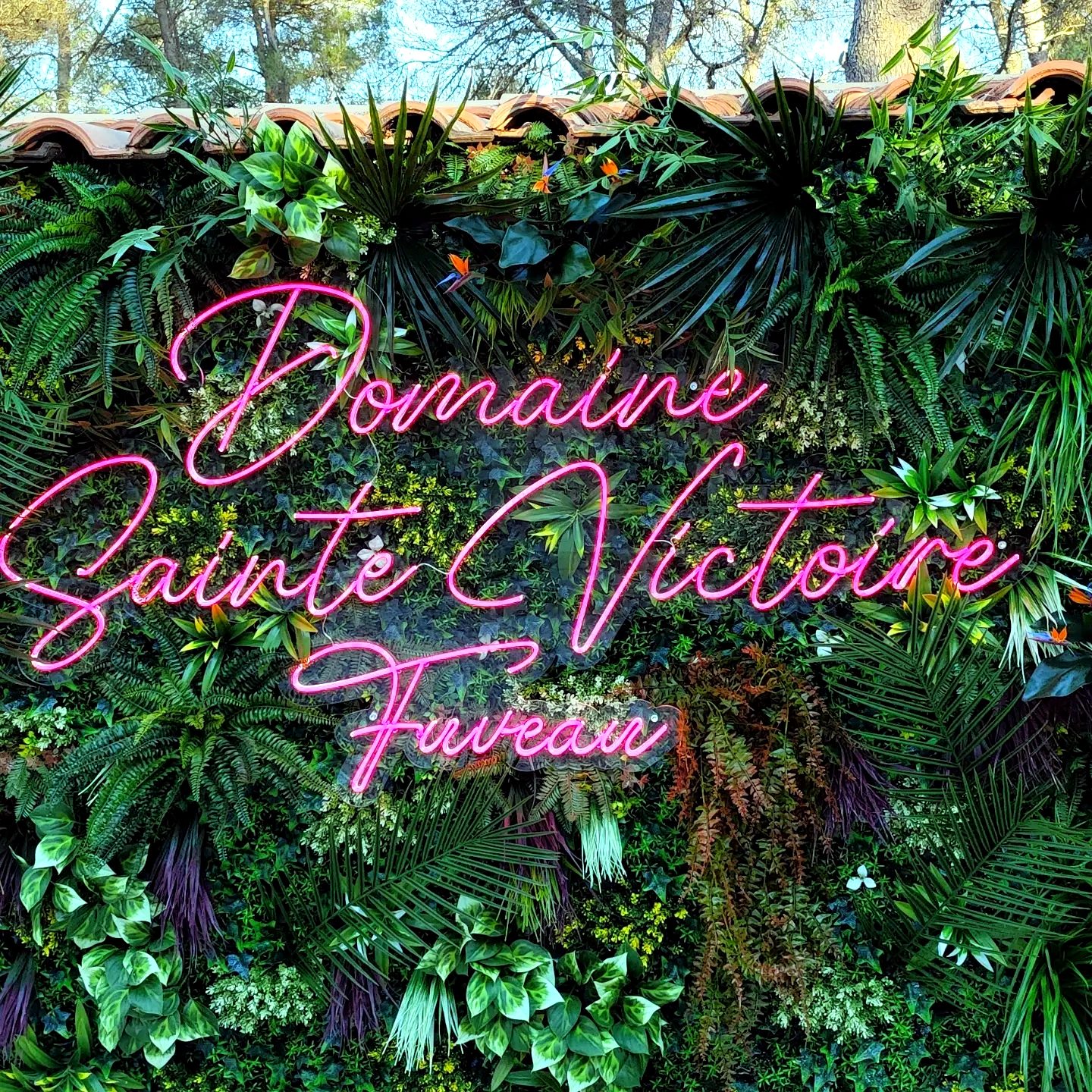 Enseigne lumineuse — 208_mur-vegetal-led-domaine-sainte-victoire-nuit